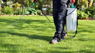 Osoba w rękawiczkach i roboczych spodniach opryskuje trawnik środkiem **herbicydowym** z plecakowego opryskiwacza, dbając o piękny ogród.